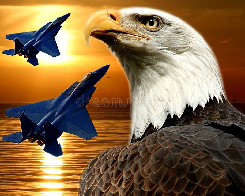 Falke F-15 und kahler Adler