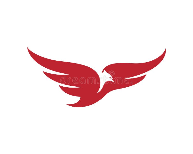 Falke-Logovektor-Illustrationsentwurf lizenzfreie abbildung