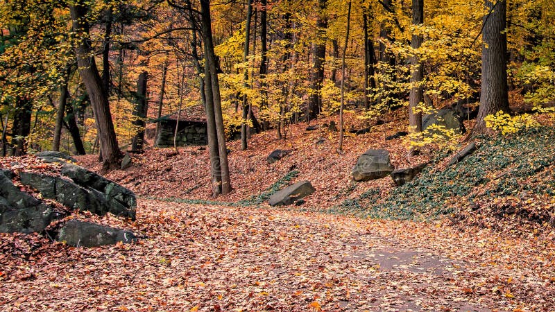 4 bilder 1 wort türe fahrrad dach