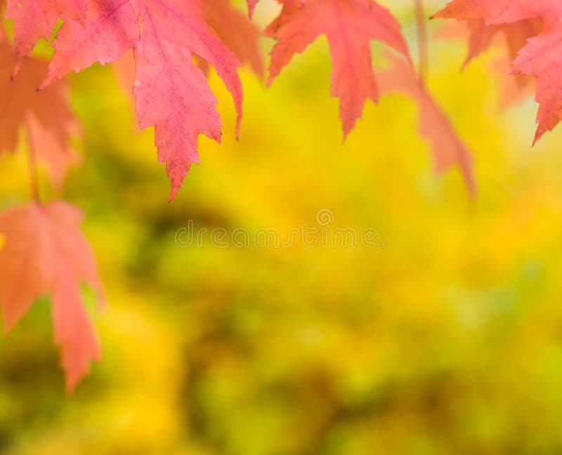 Fall autumn background stock photo. Image of copyspace 34714368