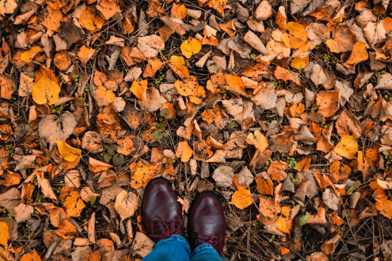 Fall, Autumn, Leaves, Legs and Shoes. Conceptual Image of Legs Boots on ...