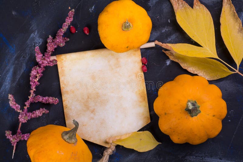 Fall autumn scene concept royalty free stock photography Fall autumn scene concept royalty free stock photography