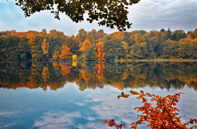 Fall stock image. Image of beautiful, morning, fall, autumn - 41036905