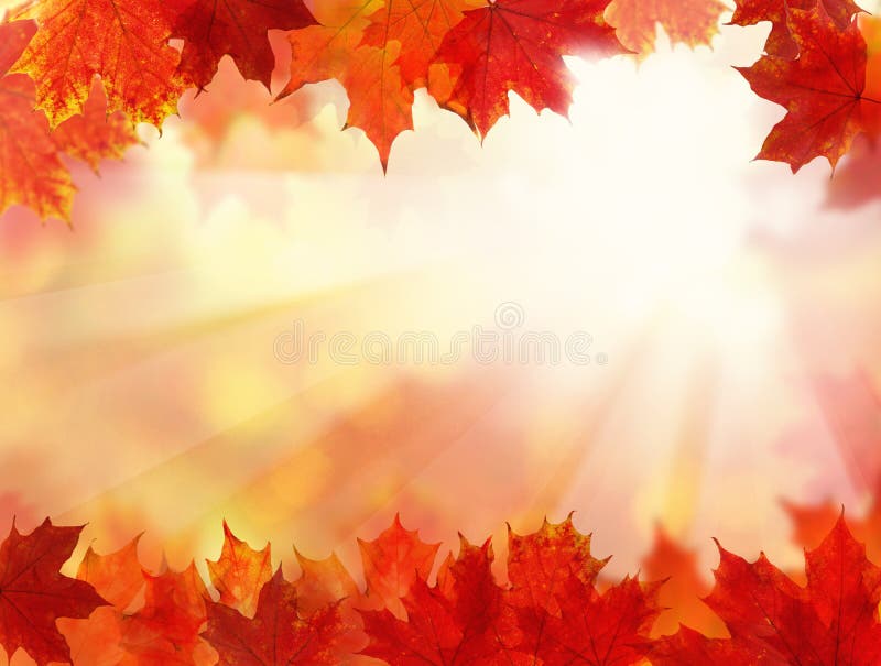 Fall Background with Autumn Leaves