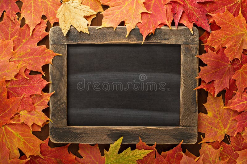Fall background with a chalkboard royalty free stock images Fall background with a chalkboard royalty free stock images