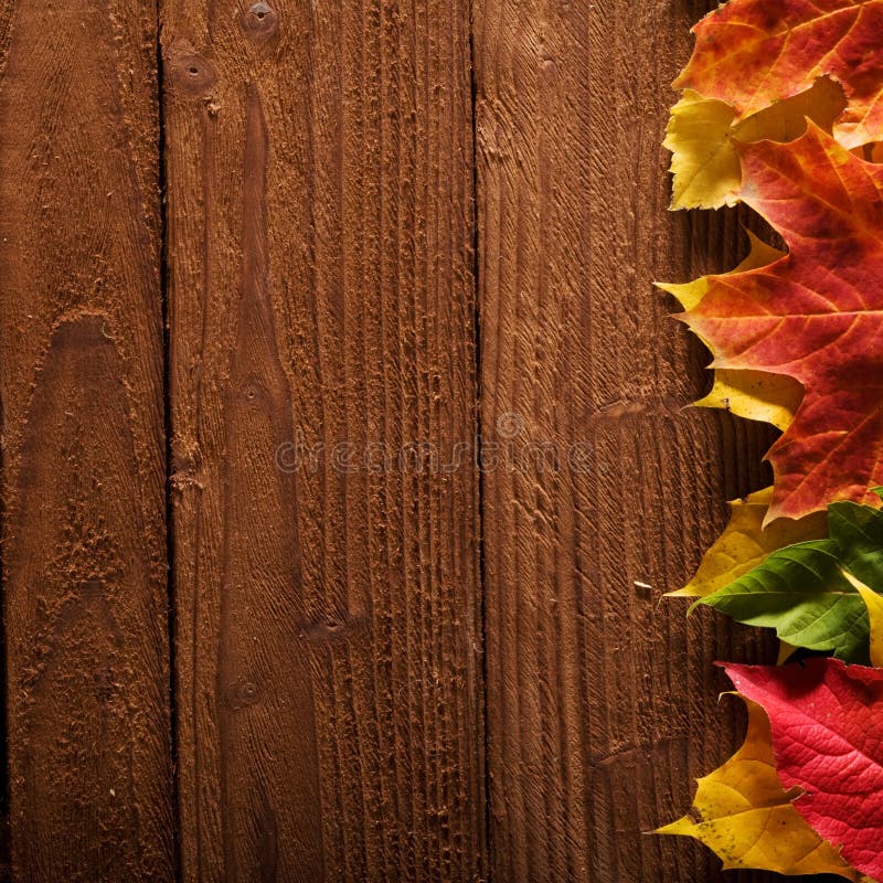 Fall background with leaves