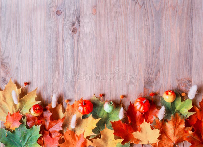 Fall background. Maple varicolored fall leaves on the wooden background stock images Fall background. Maple varicolored fall leaves on the wooden background stock images