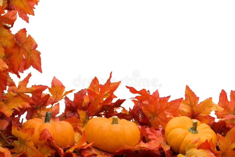 Declino foglie arancia zucche sul isolato su sfondo bianco, declino frontiere.