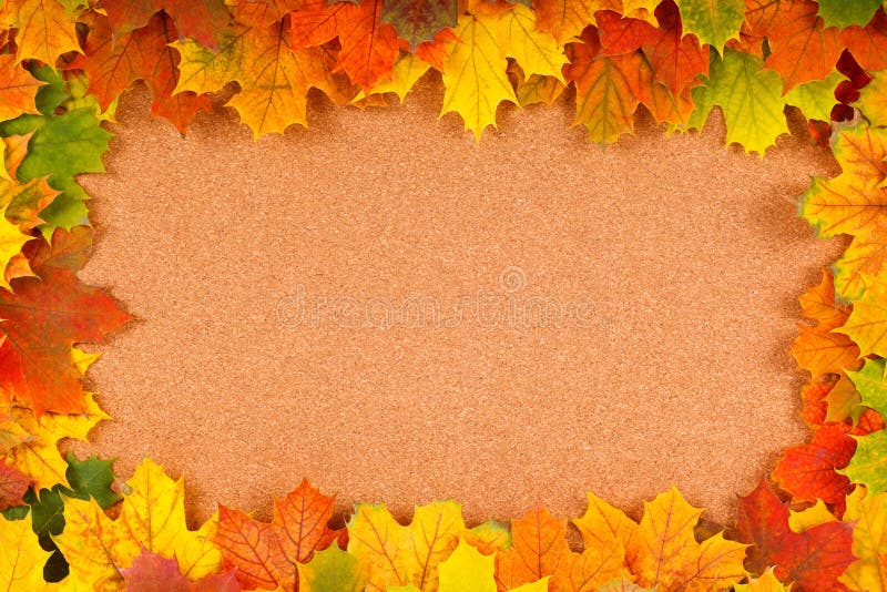 Fall border on corkboard stock image. Image of season 34465313