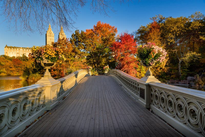 Fall in Central Park With the Bow Bridge, New York