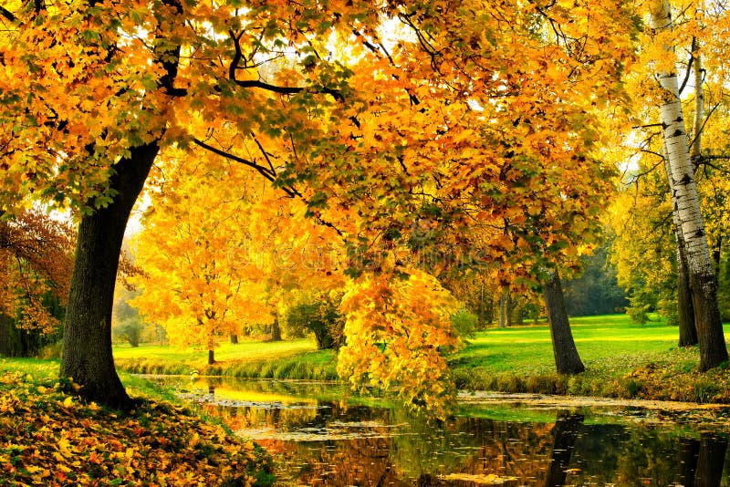 Fall in a park stock photo. Image of countryside, autumn - 16658850