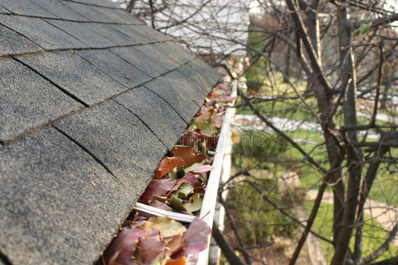 Fall Cleanup - Leaves in Gutter #1 stock image