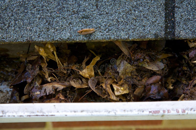 Fall Cleanup - Leaves in Gutter royalty free stock photography