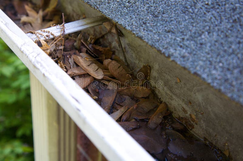Fall Cleanup - Leaves in Gutter stock images