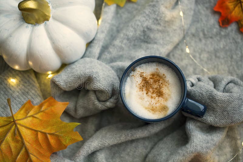 Pumpkin Iced Coffee Cup Fall Coffee Cup Iced Coffee Cup 