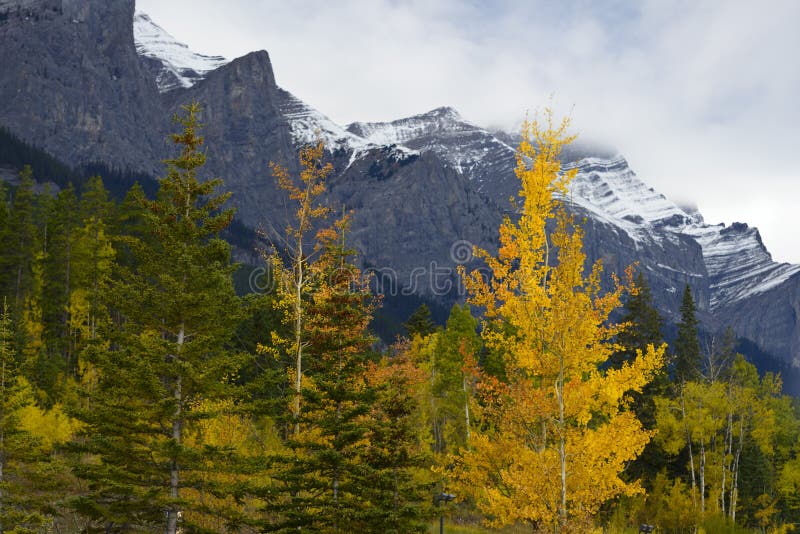 Fall Color in Canadian Rockies