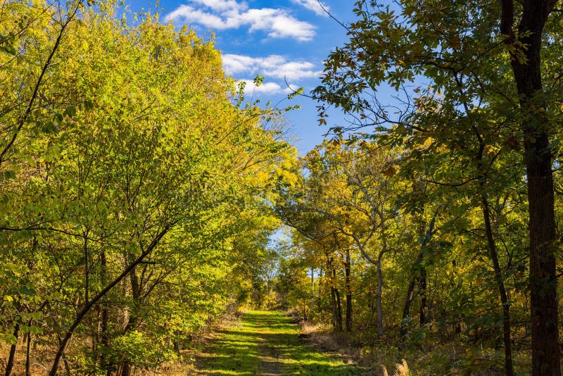 Fall Color Near the Eagle View Trail Stock Photo Image of view, trail