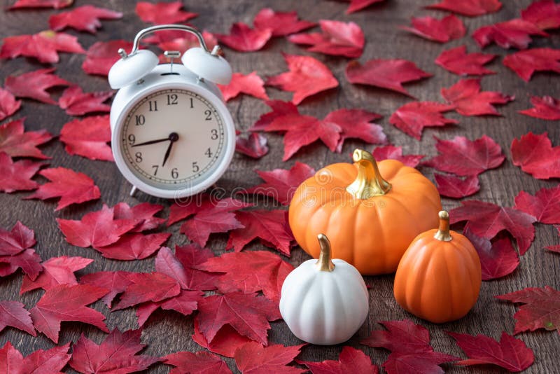 Fall color in red maple leaves on a rustic wood floor with ceramic pumpkins and a white analog alarm clock royalty free stock photography Fall color in red maple leaves on a rustic wood floor with ceramic pumpkins and a white analog alarm clock royalty free stock photography