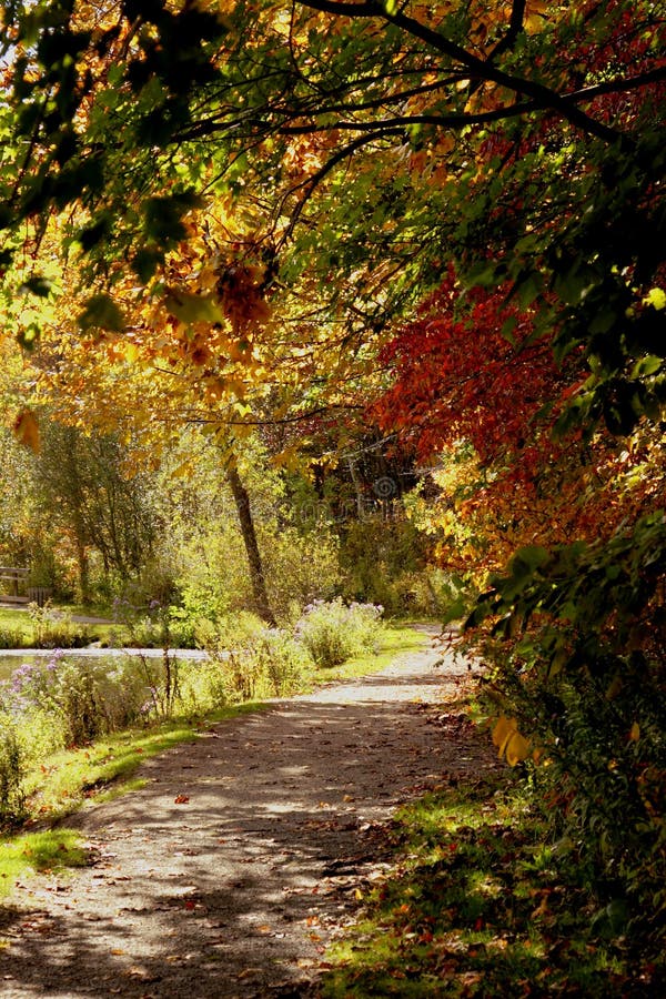 Fall colors royalty free stock photos