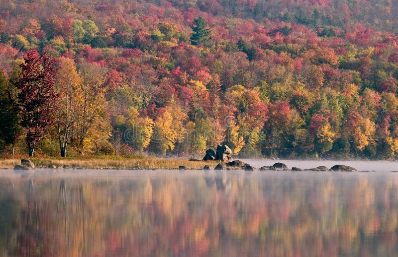 Fall colors