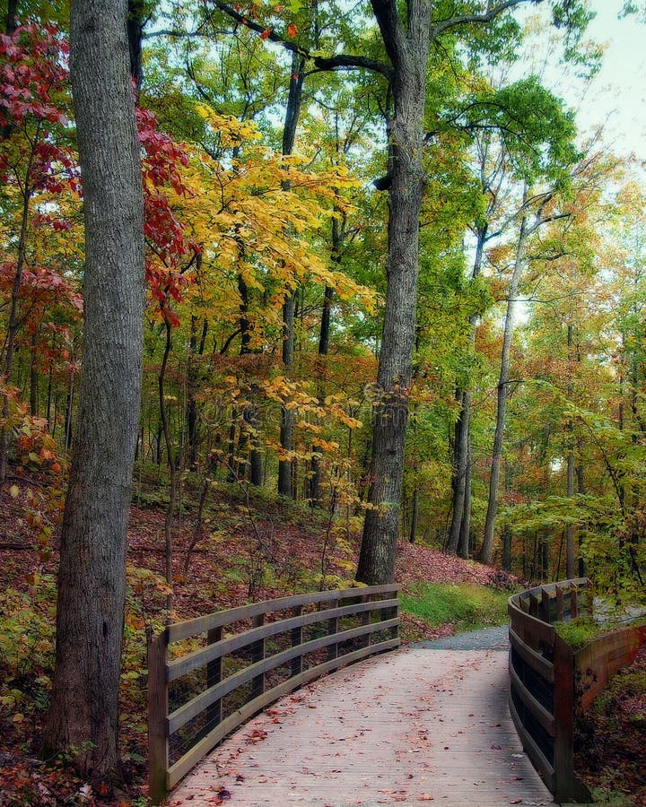 Fall colors stock photo. Image of brown, colours, fall - 942808