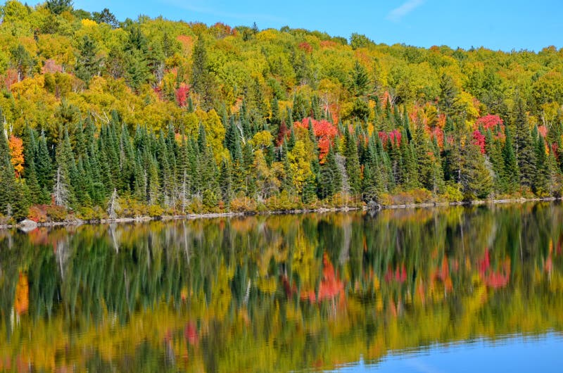 Fall Colors in Algonquin stock photo. Image of fall 258075302