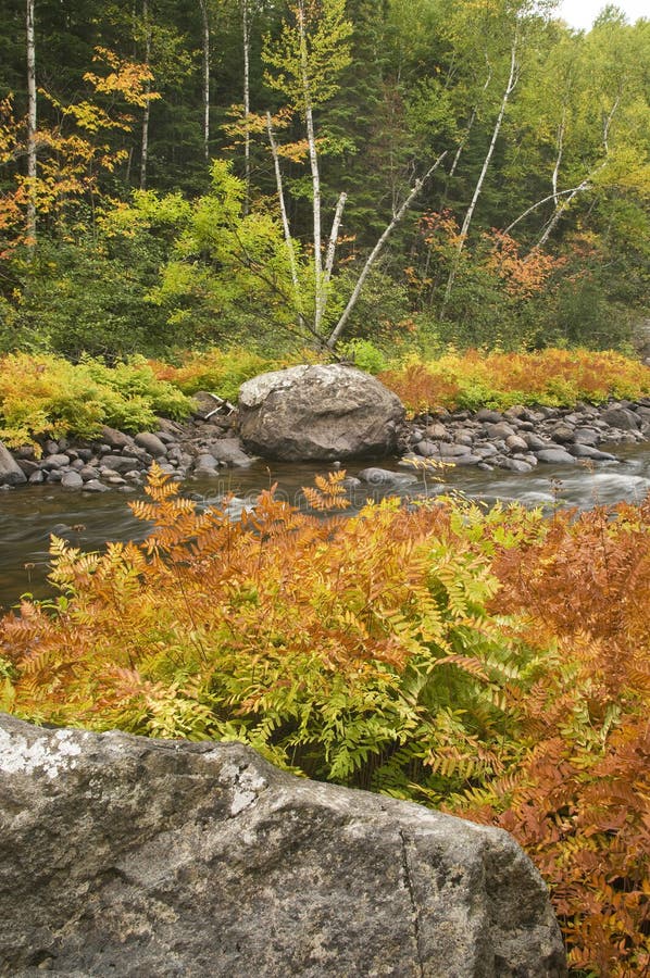 Fall colors along river
