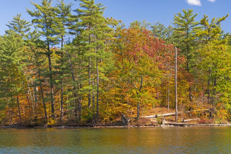 Chenango Valley State Park Photos Free & RoyaltyFree Stock Photos