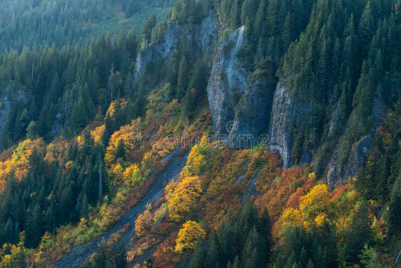 Fall Colors in Brush Along Granite Cliff royalty free stock photos Fall Colors in Brush Along Granite Cliff royalty free stock photos