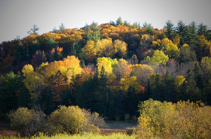 Fall Colors in Canada during October 2020 Stock Photo Image of forest
