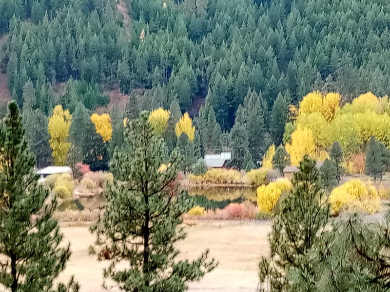 Fall Colors on Chinook Pass 2021 Stock Photo Image of colors, 2021