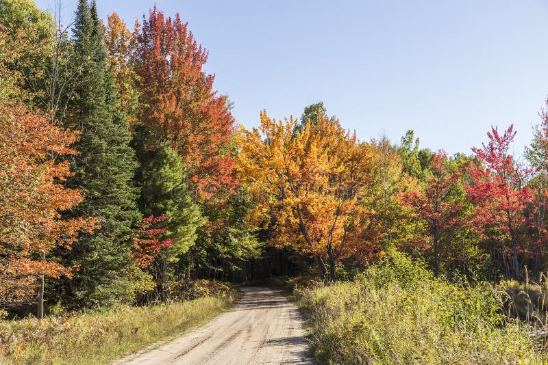 Bellissimi colori dell'Autunno sul percorso in Michigan.