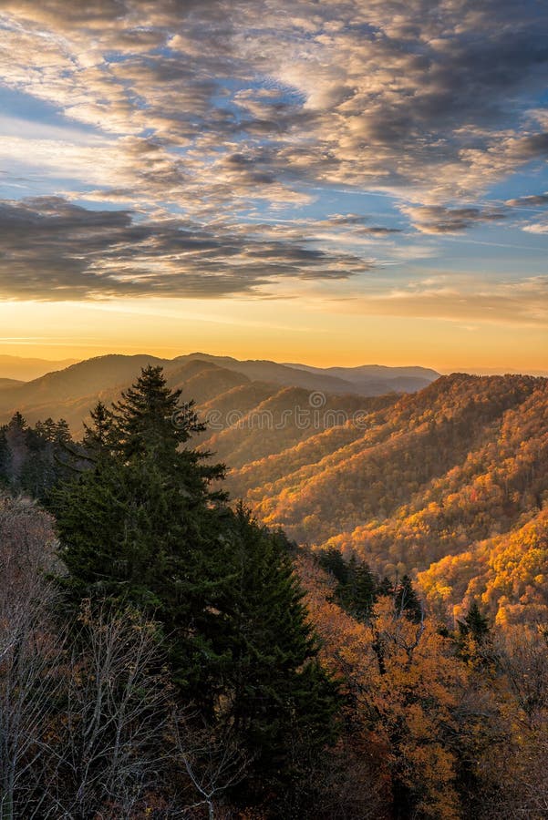 Fall colors, scenic sunrise, Great Smoky mountains