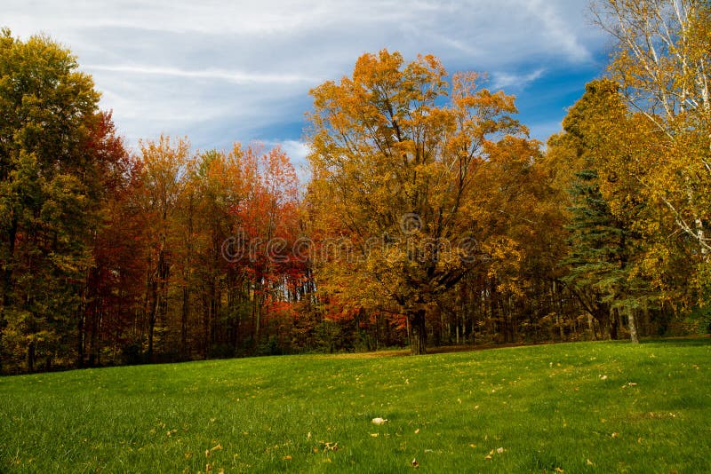 Fall Colors Vermont Stock Photo Image Of Drive Garden 17189786