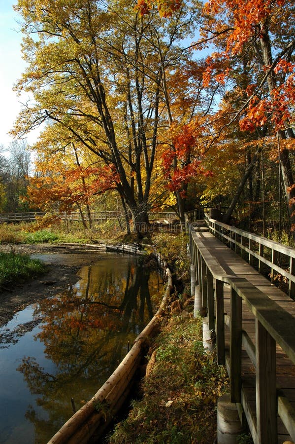 Fall Colours stock image. Image of trail, leaves, river - 13624525