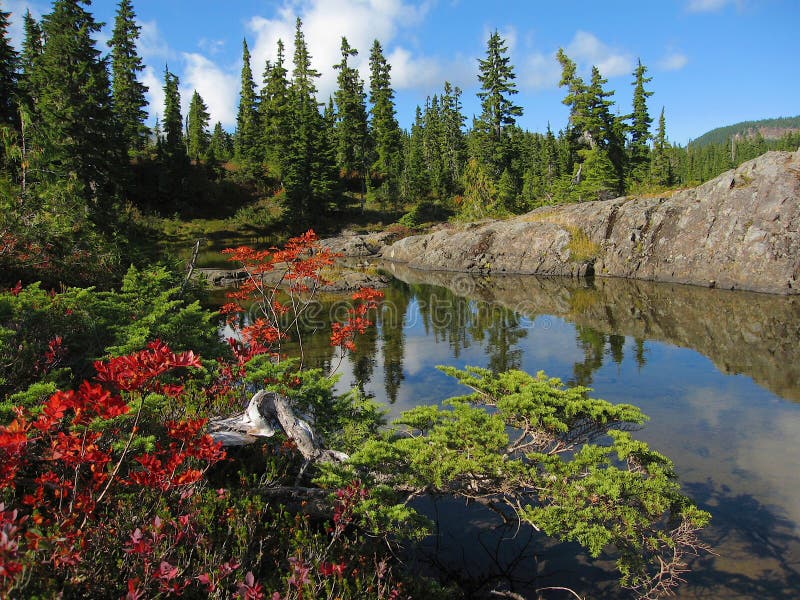 Strathcona Provincial Park, Vancouver Island, British Columbia, Canada - Fall Colours at Lake Beautiful on the Forbidden Plateau royalty free stock photos Strathcona Provincial Park, Vancouver Island, British Columbia, Canada - Fall Colours at Lake Beautiful on the Forbidden Plateau royalty free stock photos