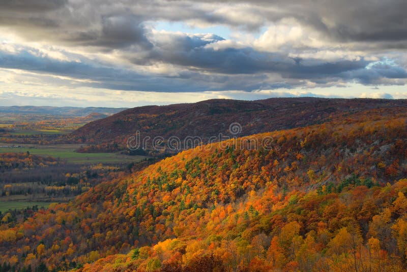 Fall Colours In The Hills