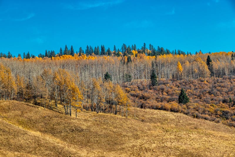Fall Colours in the Valley. Ghost Land Use Area, Alberta, Canada Stock