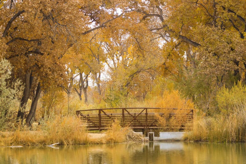Albuquerque Bosque Stock Photos Free & RoyaltyFree Stock Photos from