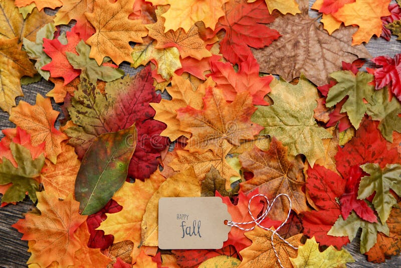 Fall-Danksagungs-Hintergrund Fall-Danksagungs-Hintergrund