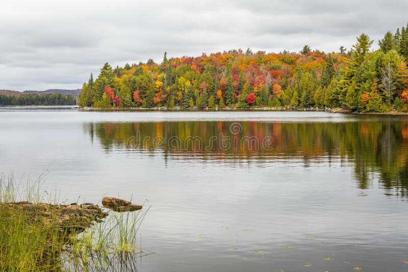Fall-Farbe auf einem See im Algonquin-provinziellen Park, Ontario, Cana