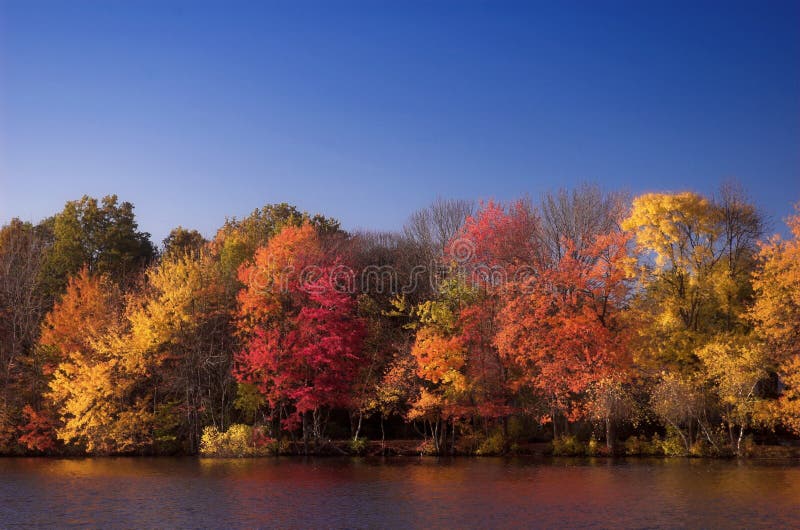 Fall-Farben lizenzfreies stockbild Fall-Farben lizenzfreies stockbild