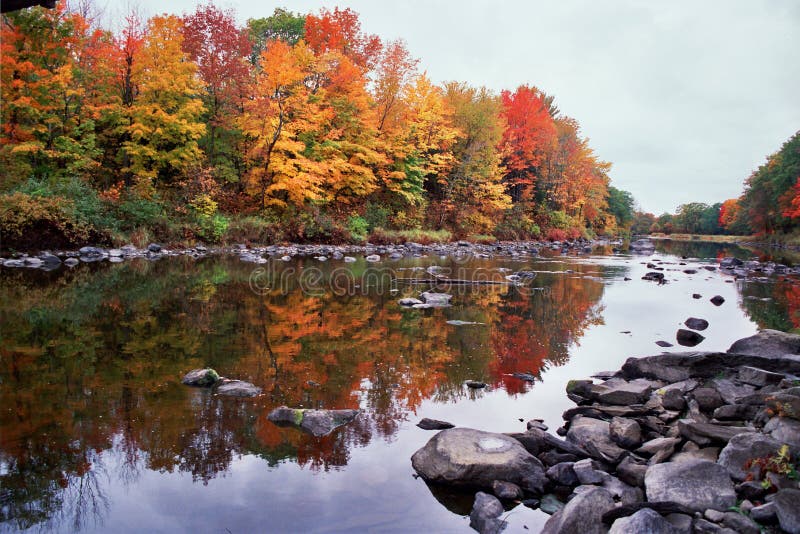 Fall foliage