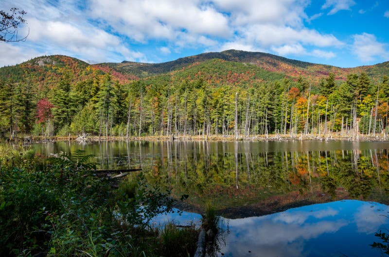 Fall Foliage in the Adirondack Mountains Stock Photo Image of hiking