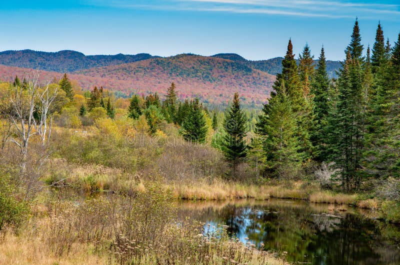 Fall Foliage in the Adirondack Mountains Stock Image Image of flume