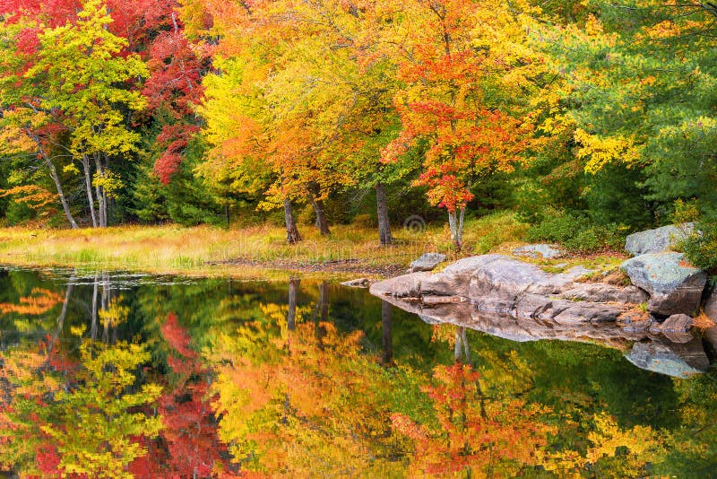 Fall foliage colors reflected in still lake water