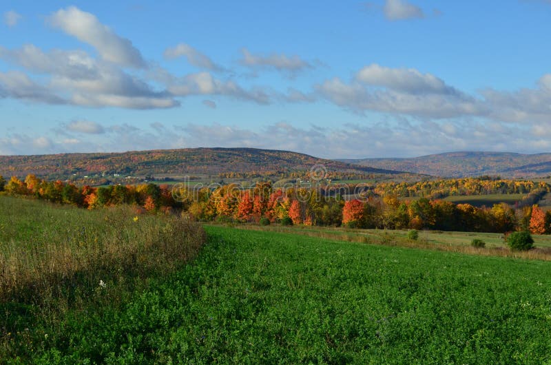 Fall Foliage on the Hillside of Upstate New York Stock Photo Image of