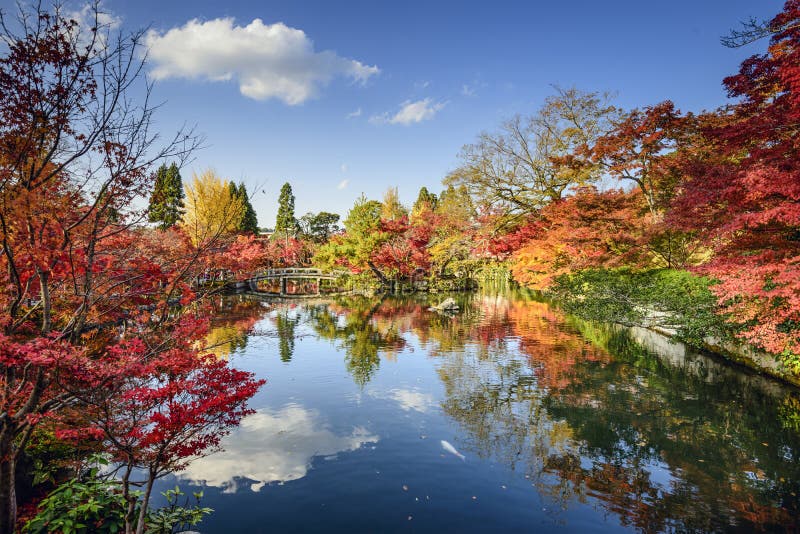 Fall Foliage in Kyoto, Japan