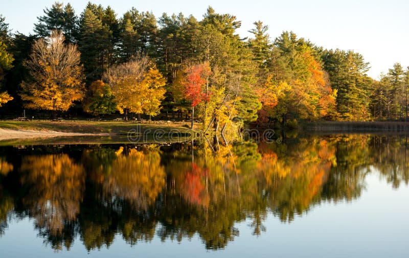 Fall Foliage at Lake Shaftsbury in Vermont Stock Image Image of