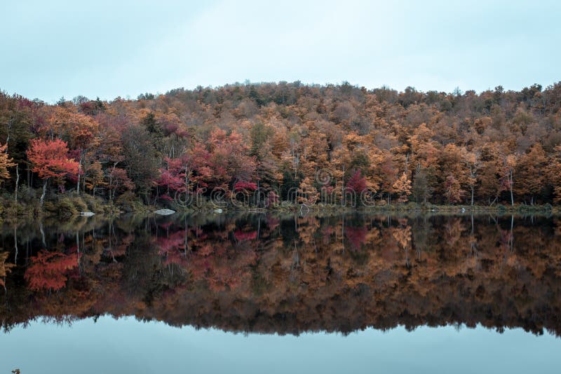 Fall Foliage Reflecting on a Lake in the Berkshires Stock Image Image